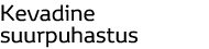Kevadine suurpuhastus